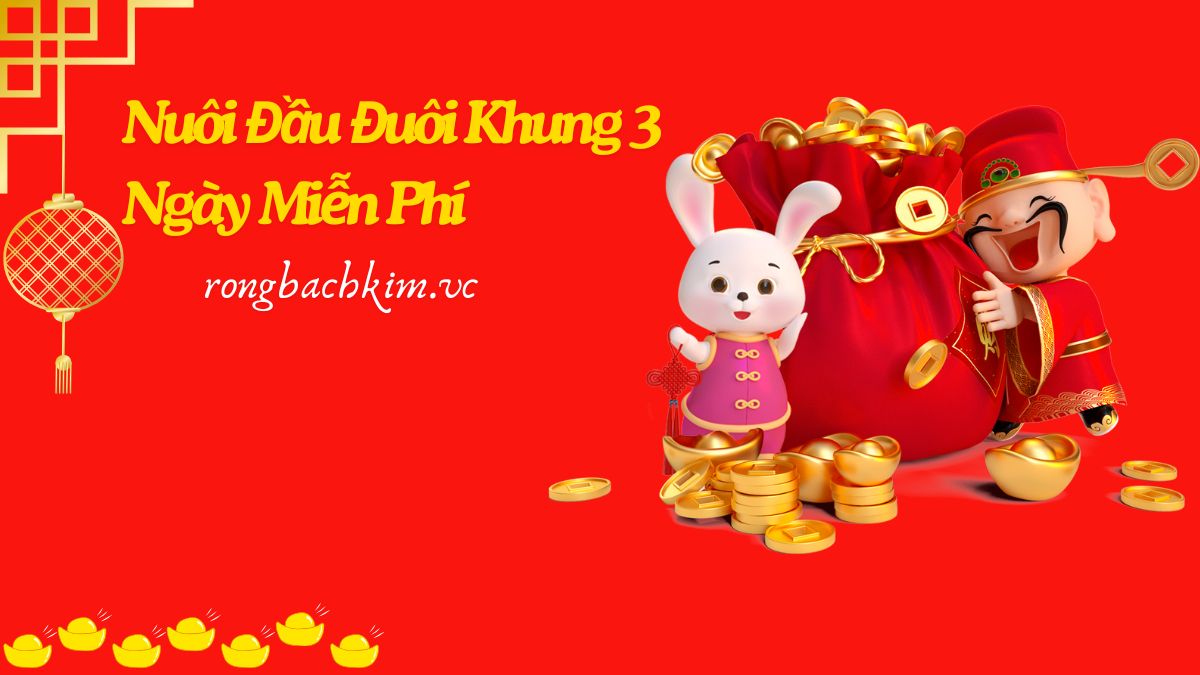 Nuôi Đầu Đuôi khung 3 Ngày